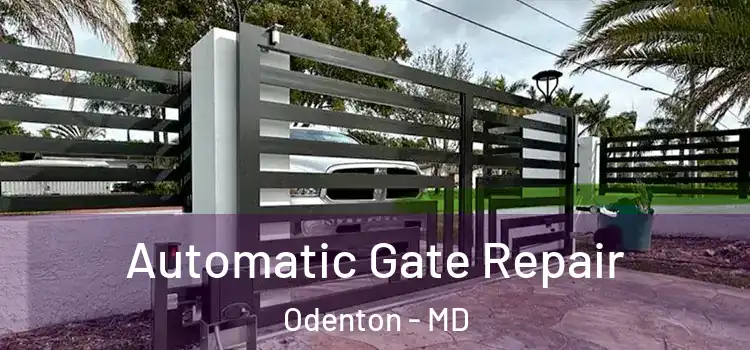 Automatic Gate Repair Odenton - MD