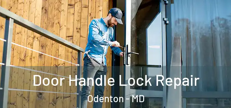 Door Handle Lock Repair Odenton - MD