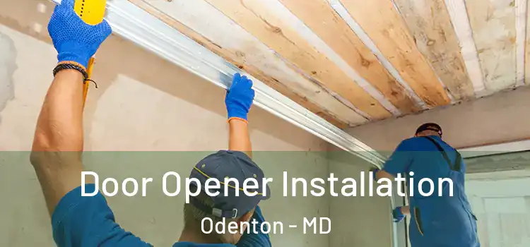  Door Opener Installation Odenton - MD