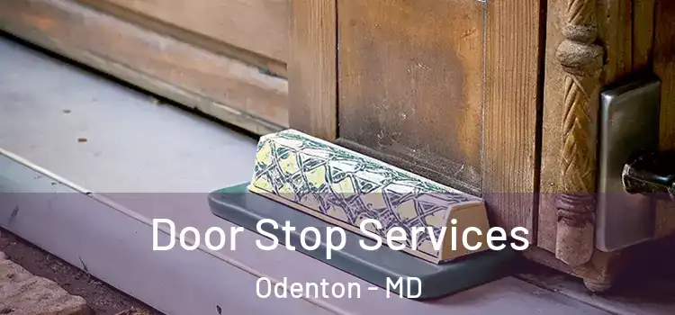 Door Stop Services Odenton - MD
