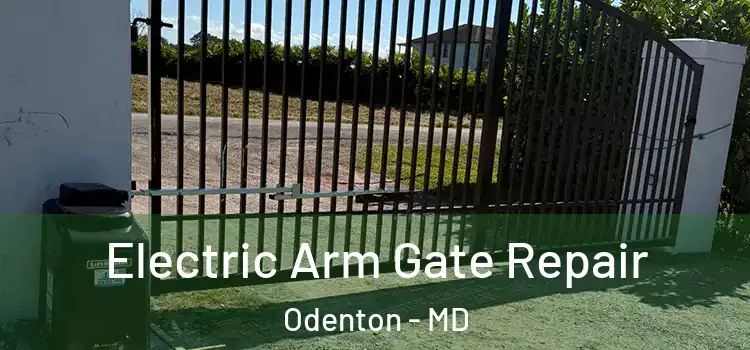 Electric Arm Gate Repair Odenton - MD