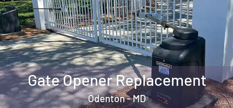 Gate Opener Replacement Odenton - MD