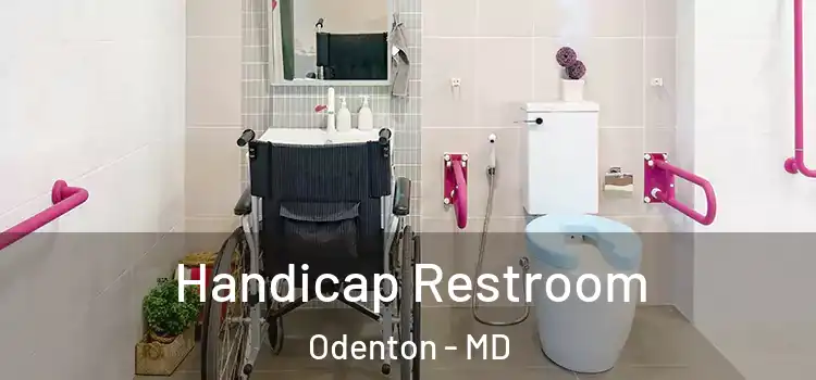  Handicap Restroom Odenton - MD