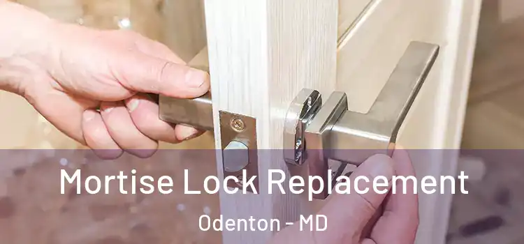 Mortise Lock Replacement Odenton - MD
