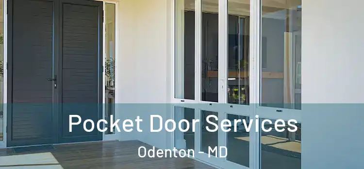 Pocket Door Services Odenton - MD