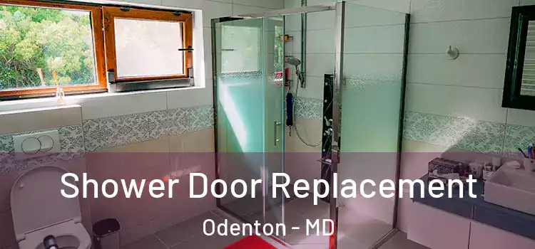 Shower Door Replacement Odenton - MD