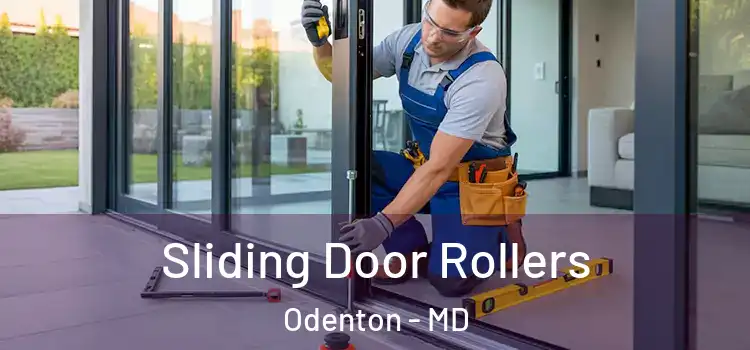 Sliding Door Rollers Odenton - MD