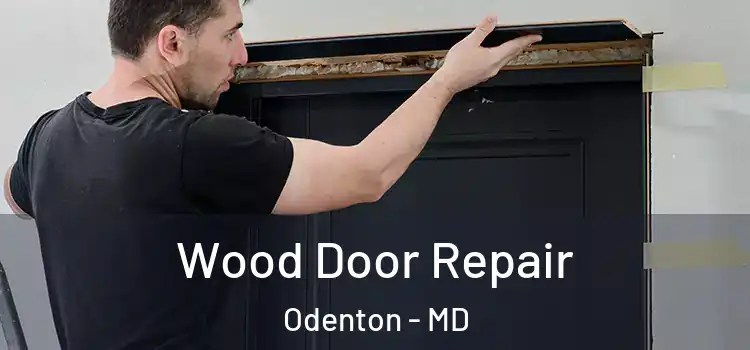Wood Door Repair Odenton - MD
